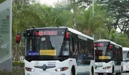 深圳公交大巴最新爆料,路线调整与票价变动一览