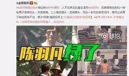 杨涛最新爆料完整视频播放,揭秘事件背后惊人真相
