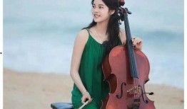 最新爆料娱乐八卦小则白鹿,娱乐圈再掀波澜